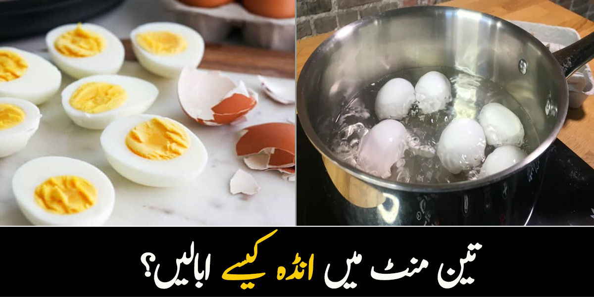 تین منٹ میں انڈہ کیسے ابالیں؟ اس کو ابالنے کا خاص طریقہ جانیں اور اس ٹپ سے فائدہ اُٹھائیں
