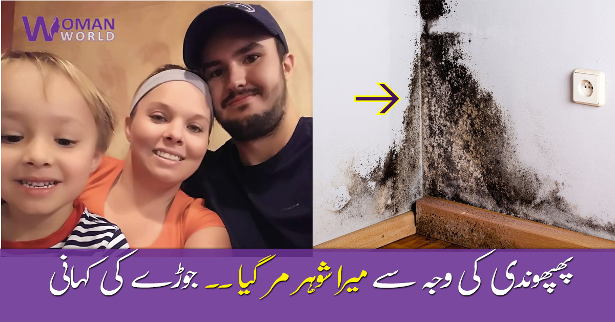 پھپھوندی سے میرا شوہر مر گیا ۔۔ اگر آپ کے گھر کی دیواروں پر بھی پھپھوندی لگ گئی ہے تو اسے معمولی نہ سمجھیں،  جانیں کیسے یہ ہنستا بستا گھر اُجڑا؟